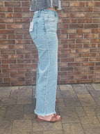 The Blue Ridge Jean